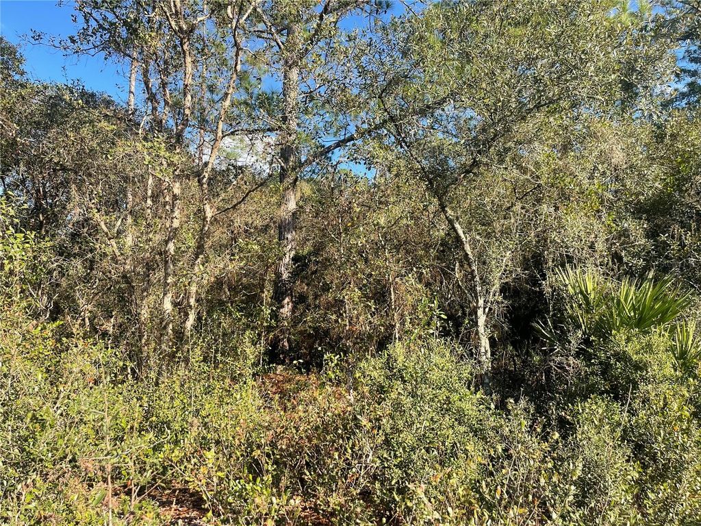 Image 3 of property listing at ROSE BUD DRIVE, Deland, FL 32720