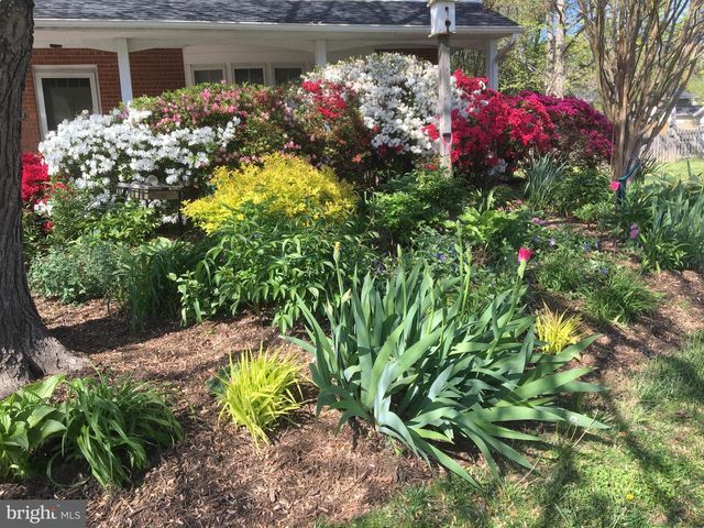 2412 CAVENDISH DR, Alexandria, VA 22308