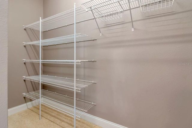 1900 PAW PAW PLACE, Trinity, FL 34655