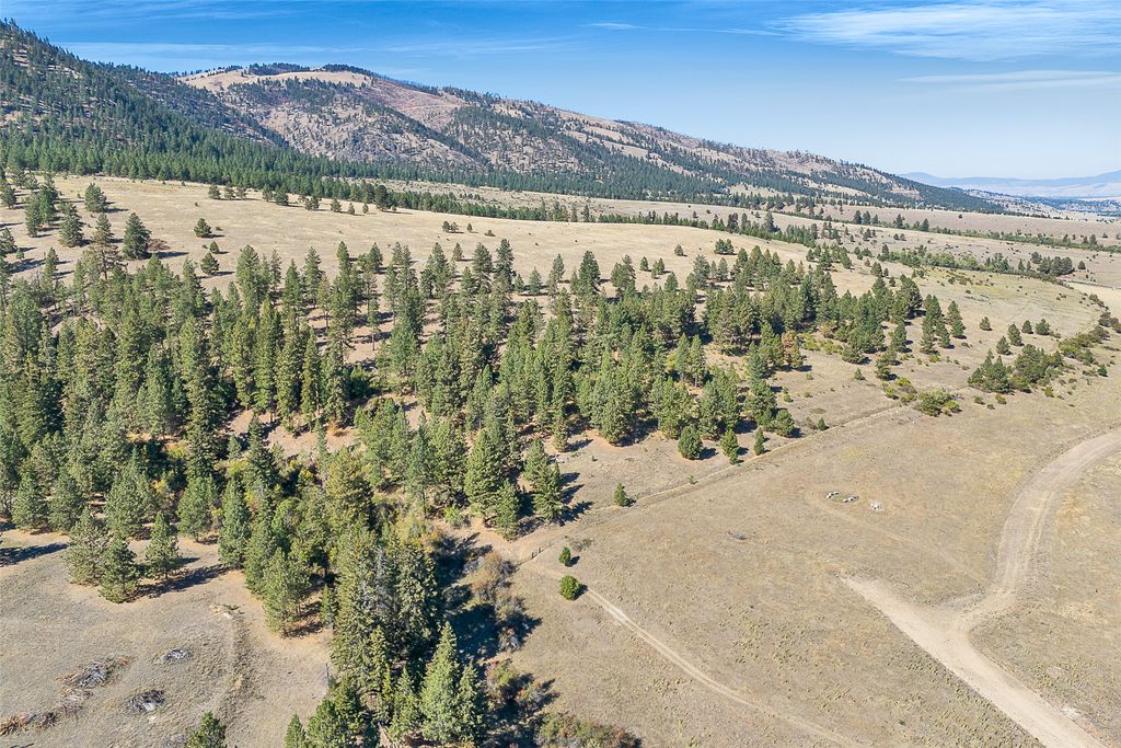 000 Willow Highlands, Florence, MT 59833 photo 15