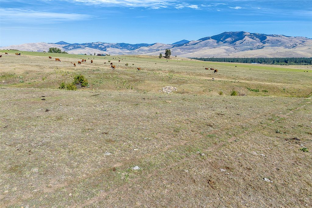000 Willow Highlands, Florence, MT 59833 photo 6