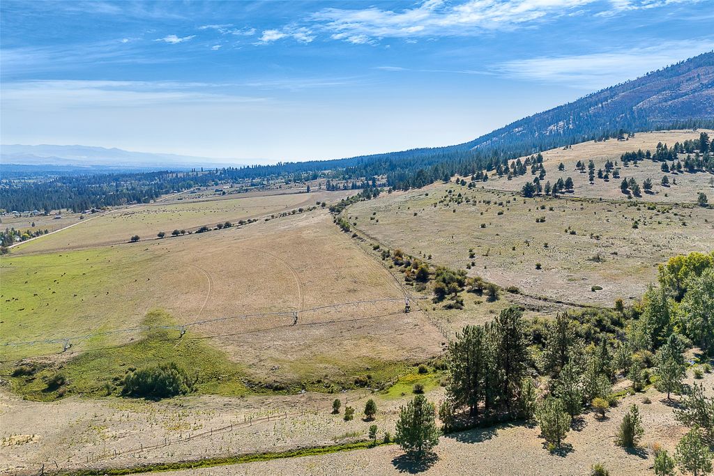 000 Willow Highlands, Florence, MT 59833 photo 9