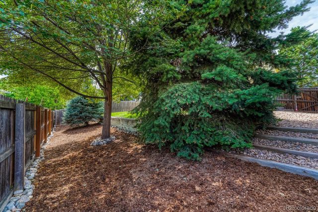 832 Pitkin Way, Castle Rock, CO 80104
