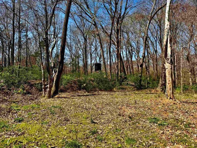 6195 BOBBITT RD, Unincorporated, TN 38057