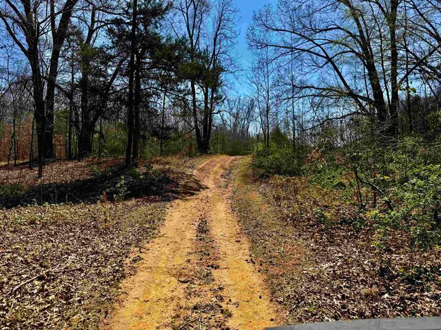 6195 BOBBITT RD, Unincorporated, TN 38057