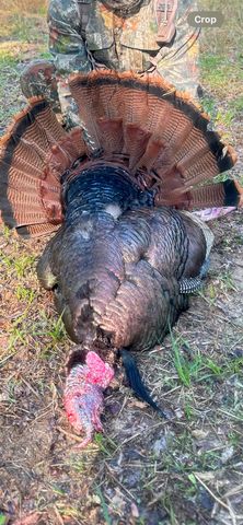 6195 BOBBITT RD, Unincorporated, TN 38057