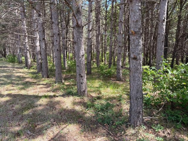 000 Apache Avenue, Nekoosa, WI 54457