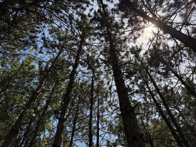 000 Apache Avenue, Nekoosa, WI 54457