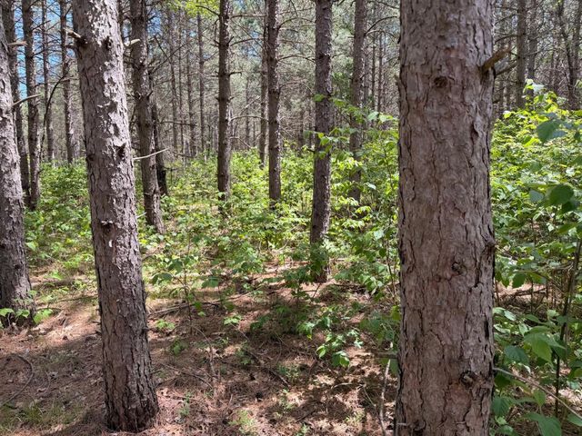 000 Apache Avenue, Nekoosa, WI 54457