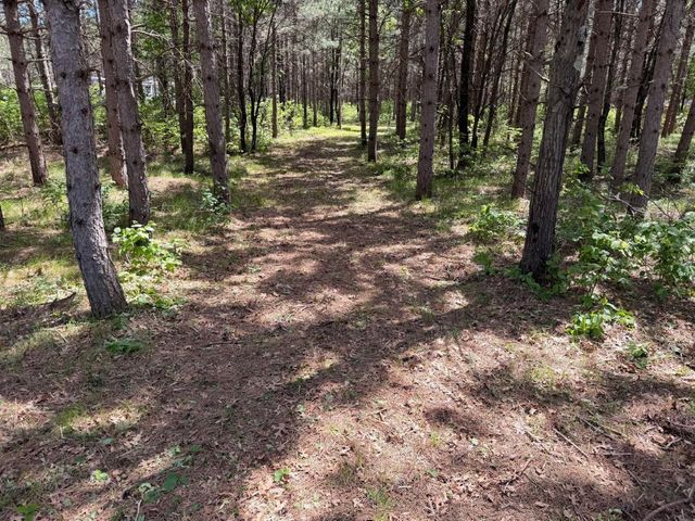 000 Apache Avenue, Nekoosa, WI 54457