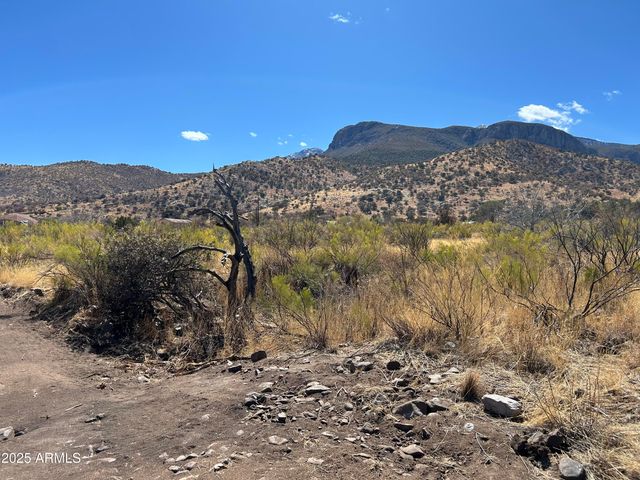 tbd Carr Canyon Rd -- 4, Hereford, AZ 85615