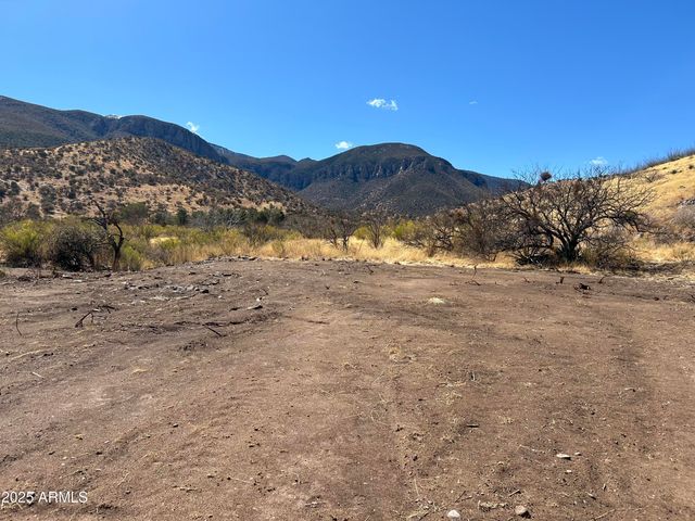 tbd Carr Canyon Rd -- 4, Hereford, AZ 85615