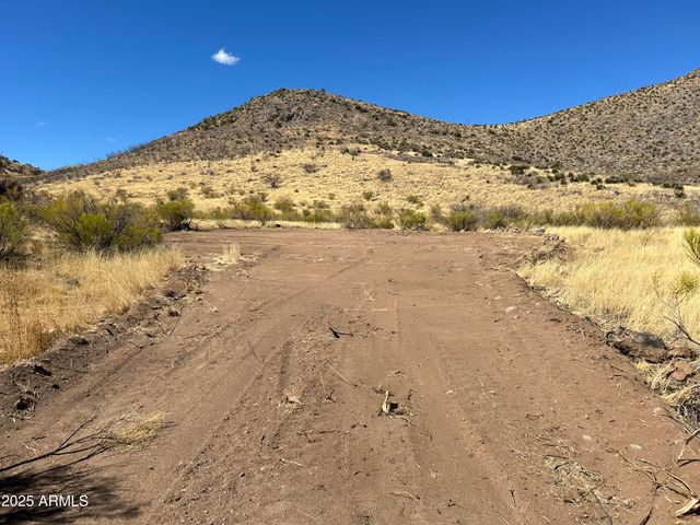 tbd Carr Canyon Rd -- 4, Hereford, AZ 85615