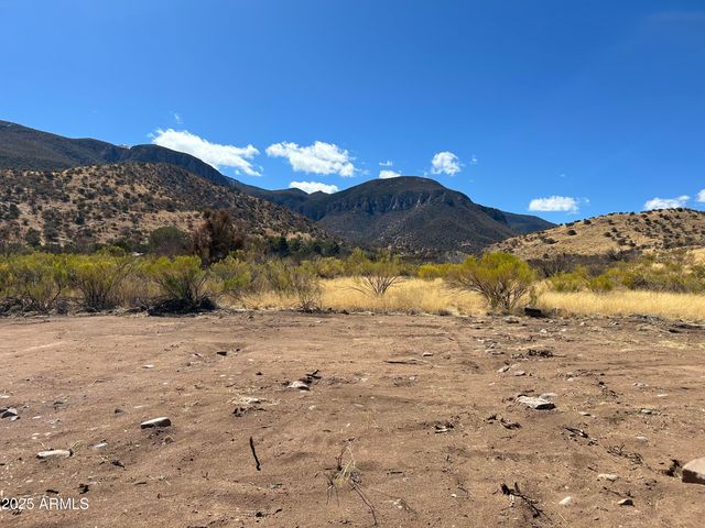 tbd Carr Canyon Rd -- 4, Hereford, AZ 85615