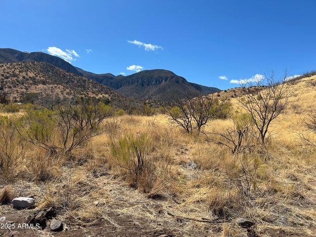 tbd Carr Canyon Rd -- 4, Hereford, AZ 85615