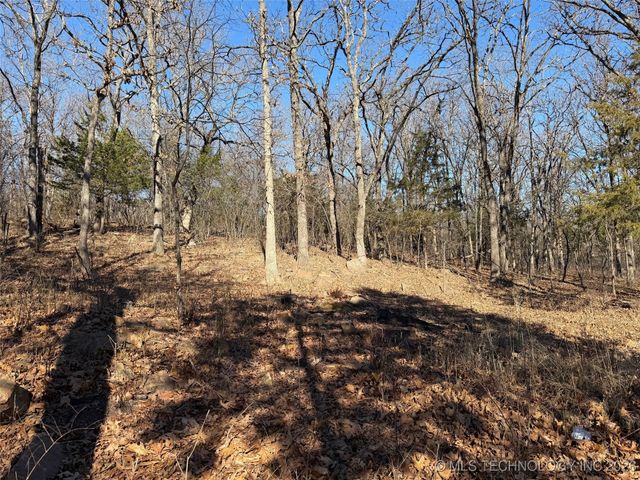 367315 E Country Club Boulevard, Cleveland, OK 74020