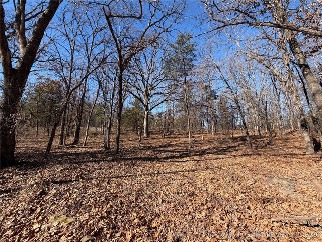 367315 E Country Club Boulevard, Cleveland, OK 74020