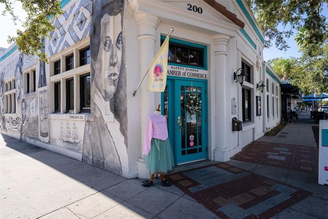 244 IRON AGE STREET, Safety Harbor, FL 34695