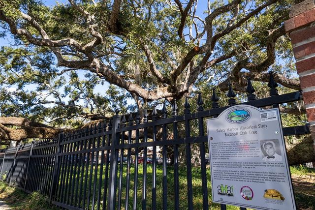 244 IRON AGE STREET, Safety Harbor, FL 34695