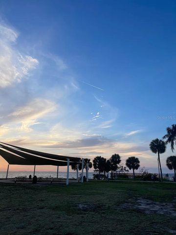 244 IRON AGE STREET, Safety Harbor, FL 34695