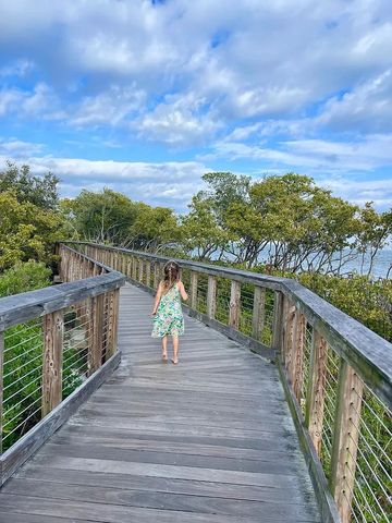 244 IRON AGE STREET, Safety Harbor, FL 34695