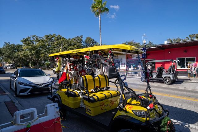 244 IRON AGE STREET, Safety Harbor, FL 34695