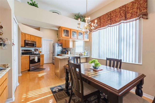 17746 NATHANS DRIVE, Tampa, FL 33647