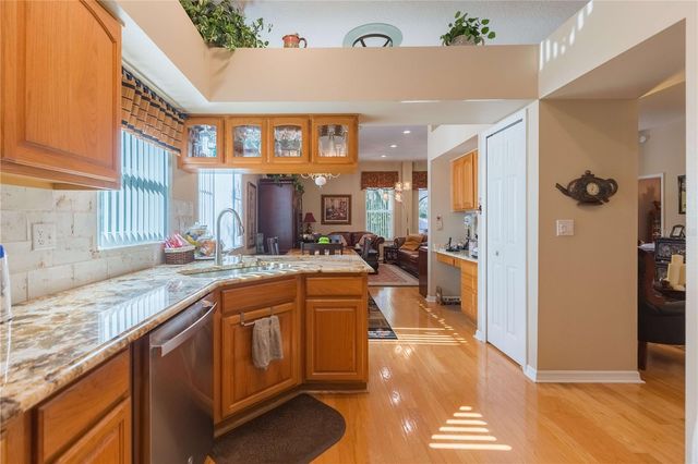 17746 NATHANS DRIVE, Tampa, FL 33647