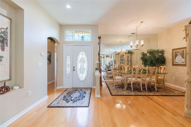 17746 NATHANS DRIVE, Tampa, FL 33647