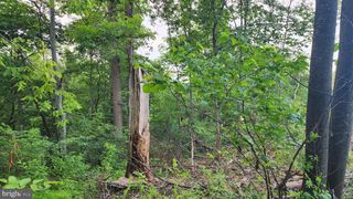 50 OAK RIDGE TRL, Fairfield, PA 17320
