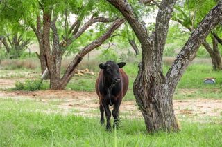 5088 Us-67 84, Brownwood, TX 76801