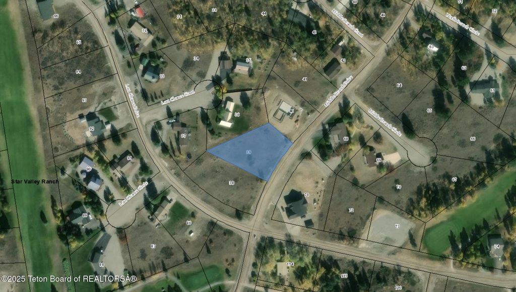 LOT 39 MIDDLE BRANCH Drive, Star Valley Ranch, WY 83127 photo 12