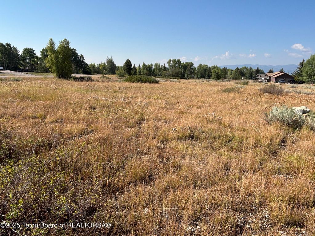 LOT 39 MIDDLE BRANCH Drive, Star Valley Ranch, WY 83127 photo 6