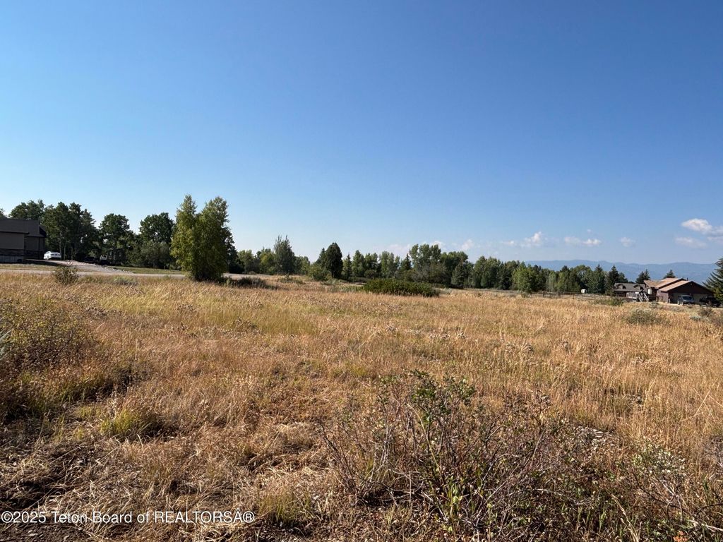 LOT 39 MIDDLE BRANCH Drive, Star Valley Ranch, WY 83127 photo 8