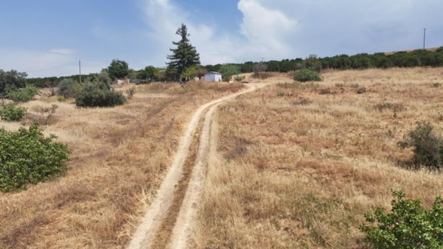 24104 Rd 218, Lindsay, CA 93247