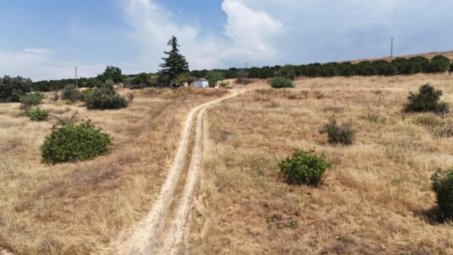 24104 Rd 218, Lindsay, CA 93247