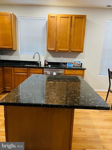 1111 TRICE MEADOWS CIR, Denton, MD 21629