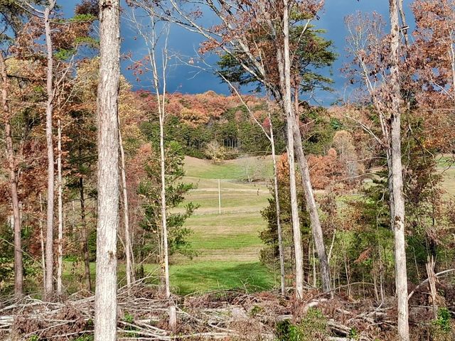 233 Finger Board Road, Tellico Plains, TN 37385