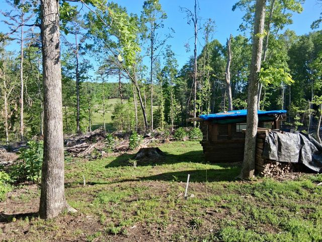 233 Finger Board Road, Tellico Plains, TN 37385