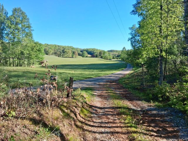 233 Finger Board Road, Tellico Plains, TN 37385