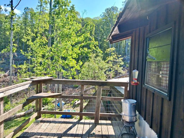 233 Finger Board Road, Tellico Plains, TN 37385