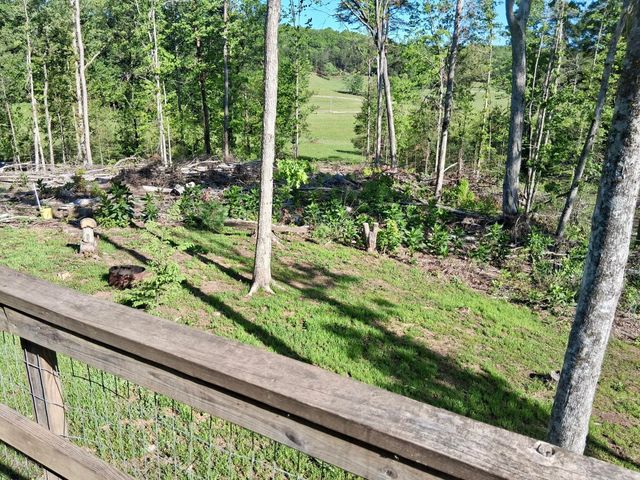 233 Finger Board Road, Tellico Plains, TN 37385
