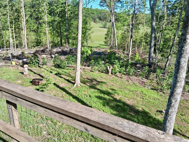 233 Finger Board Road, Tellico Plains, TN 37385
