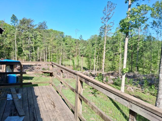 233 Finger Board Road, Tellico Plains, TN 37385