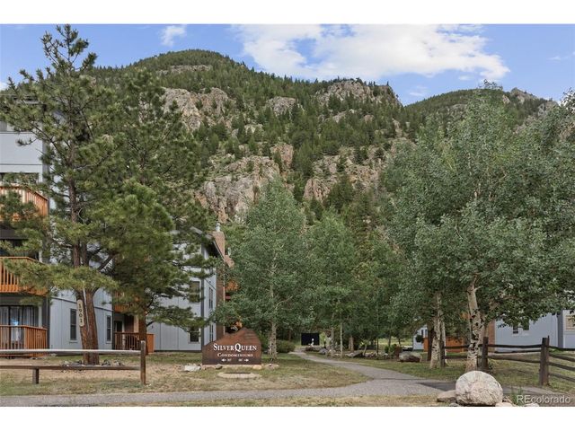 1901 Clear Creek Dr E102, Georgetown, CO 80444