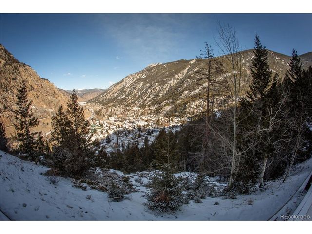 1901 Clear Creek Dr E102, Georgetown, CO 80444