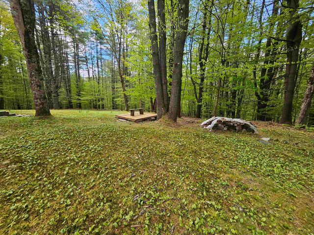 116 Buck Hill, Jamaica, VT 05343