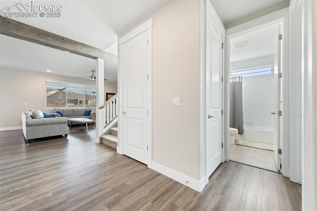 1154 Lady Campbell Drive, Colorado Springs, CO 80905