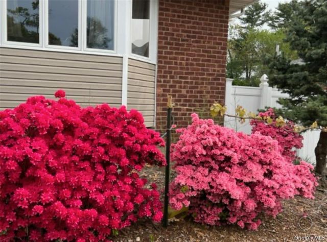 35 Hicks Avenue, Syosset, NY 11791