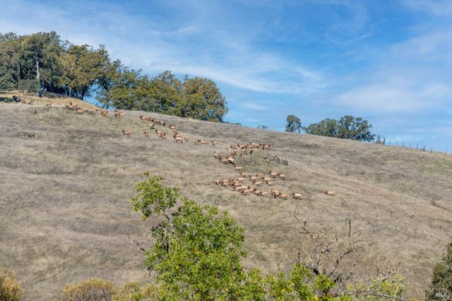 7420 Eastside Potter Valley Rd, Ukiah, CA 95482